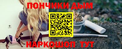 дмт Пенза