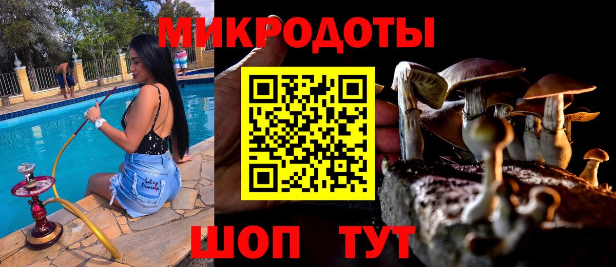 Саров  Псилоцибиновые грибы ЛСД  Псилоцибиновые грибы Psilocybe  Вход с VPN 